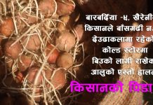 किसानको आलु बासगढी नगरपालिका वडा नम्मर ७ मा रहेको भट्टराई दुग्ध उद्ध्योग प्राली तथा कोल्ड स्टोरले बिगारिदियो