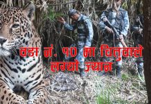 “चितुवा संरक्षण कि मानव संहार? बारबर्दियामा सात दिनमै दोस्रो ज्यान गयो” 2082-09-09