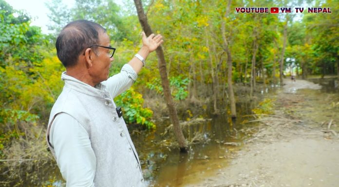 बैरिया घाट पुल नजिकको बाटो हिलाम्य! स्थानीयको गुनासो र निर्माण कहिले पूरा हुन्छ? – Aug 28, 2025